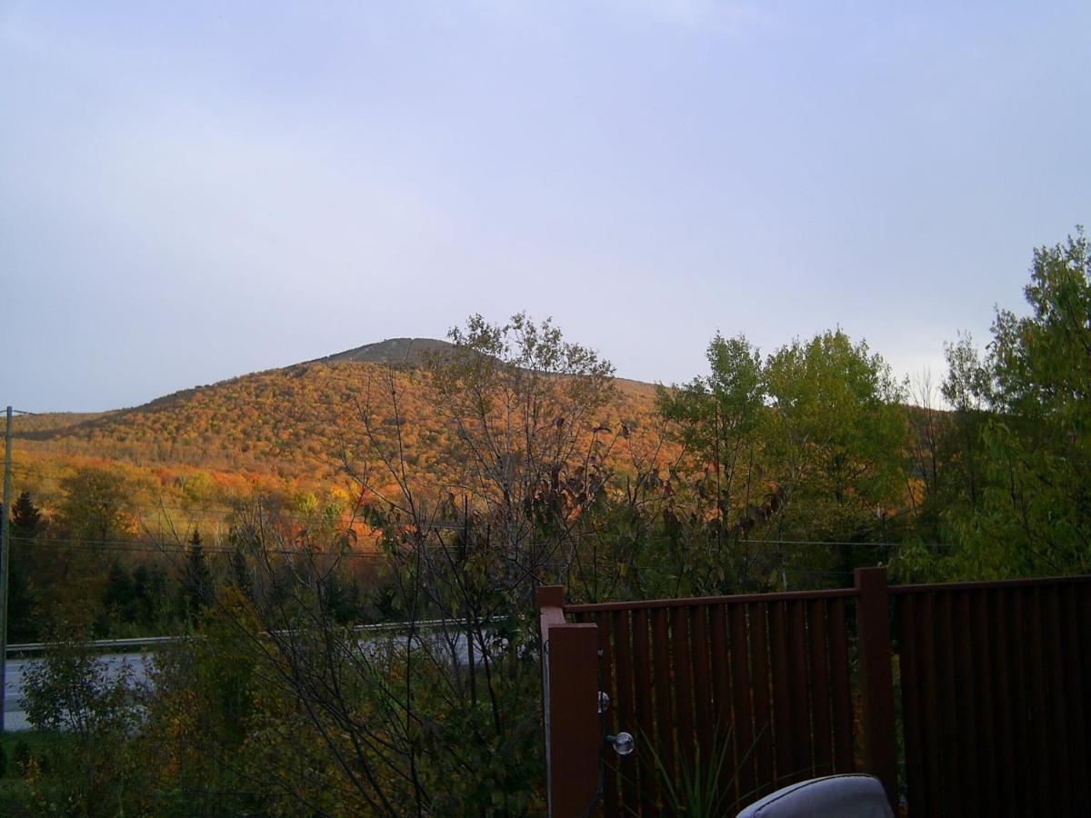 Ferienhaus Green Mountain *